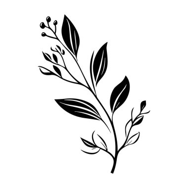 This elegant black and white botanical illustration features delicate leaves and blossoms, perfect for creative nature-themed projects.