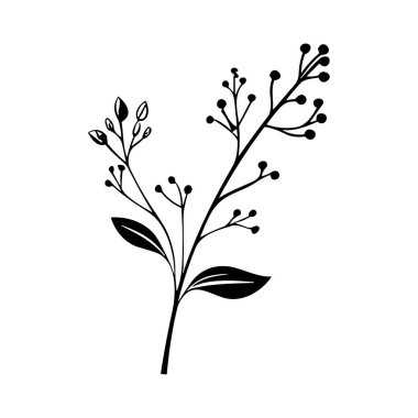 A stunning hand-drawn botanical illustration featuring a minimalist flowering branch with leaves and buds on a white background, ideal for design projects.