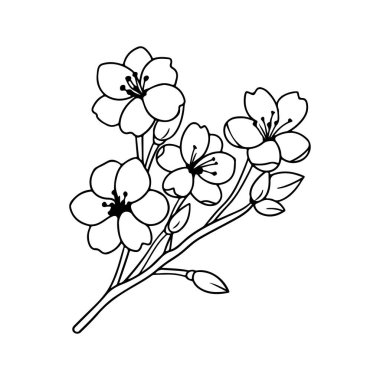 This illustration features a delicate hand-drawn blossom with elegant petals and leaves on a branch, perfect for spring-themed artwork and designs.