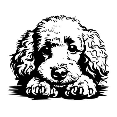This charming illustration captures an adorable puppy with fluffy fur and expressive eyes, ideal for pet-themed designs and art.