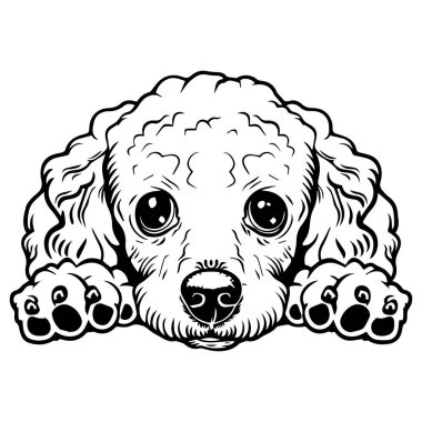 This charming cartoon drawing features an adorable puppy with big eyes and floppy ears, showcasing its playful curiosity and charm. Perfect for various creative projects.