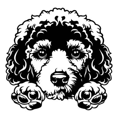 This charming black and white illustration features a cute dog with curly fur peeking out, showcasing its friendly and playful expression. Ideal for pet lovers.