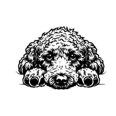 This charming illustration captures an adorable doodle dog resting its head on its paws, exuding a sense of calm and cuteness.