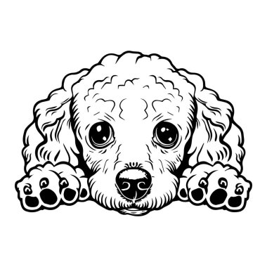 This charming illustration captures the playful essence of a puppy's face with big eyes and a fluffy appearance, perfect for pet lovers.