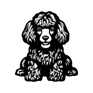 This charming illustration features a fluffy black poodle with a warm expression, ideal for pet-themed projects, home decor, and artistic designs.