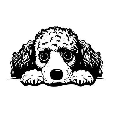 This charming illustration showcases a playful dog with curly fur, resting its chin on a surface and exhibiting a curious expression, perfect for pet lovers.