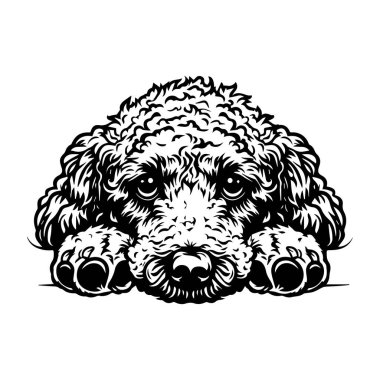 This charming illustration features a fluffy dog with curly fur, resting its head on the ground. It exudes warmth and affection, perfect for pet lovers.