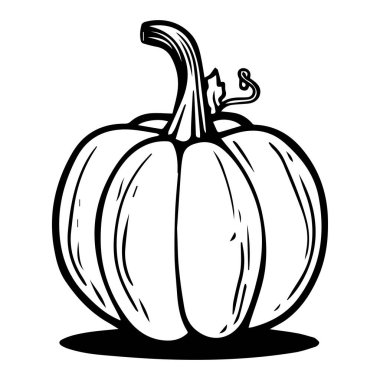 A striking hand-drawn black and white illustration of a pumpkin, showcasing its unique shape and detailed texture, ideal for autumn themes.