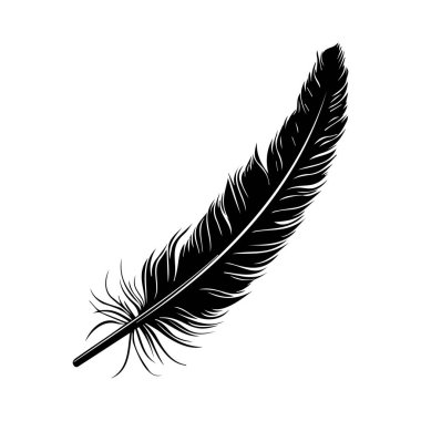 This elegant black feather isolated on a pure white background showcases intricate textures and graceful curves, perfect for artistic projects.