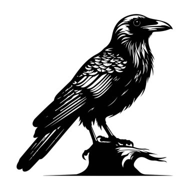 This striking black and white illustration of a raven perched on a branch presents a detailed artistic style, perfect for various creative uses.