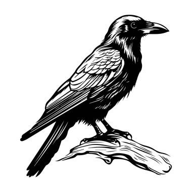 This stunning black and white illustration showcases a raven beautifully detailed while perched gracefully on a branch, emphasizing nature's elegance.
