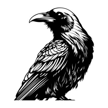 This striking black and white illustration features a crow perched elegantly, highlighting its intricate feathers and strong silhouette, perfect for art lovers.