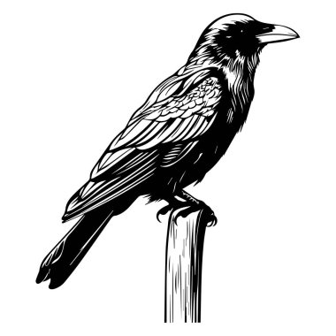 This striking illustration features a black bird elegantly perched on a wooden post, highlighting intricate feather details and a bold design.