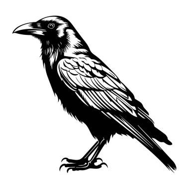 This stunning monochrome illustration showcases a crow, featuring intricate details in its feathers and a captivating profile, perfect for art enthusiasts.