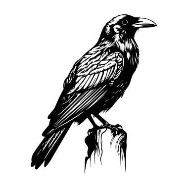 This striking black and white illustration depicts a raven elegantly perched on a tree stump, showcasing intricate details and minimalist design.