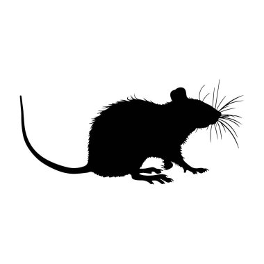 This image features a striking silhouette of a small mouse with pronounced whiskers and a long tail, perfect for various creative uses.