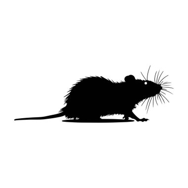 This image features a stylish silhouette of a rodent, perfect for creative projects and design purposes, offering a minimalist artistic aesthetic.