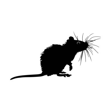 This creative illustration features a black silhouette of a rat with prominent whiskers, showcasing its unique features in simple design.