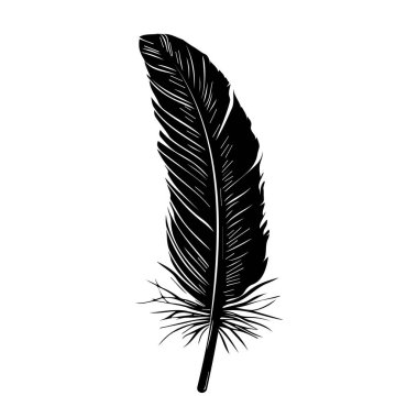 This striking illustration showcases a detailed black feather against a clean white background, ideal for artistic and nature-themed projects.