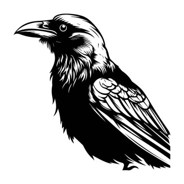 This striking black bird illustration showcases intricate details in its feathers and beak, making it perfect for nature-themed projects and art.