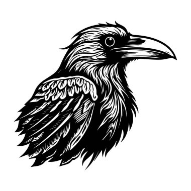 This detailed black and white illustration features a majestic bird highlighting intricate feather patterns and a sharp beak, ideal for artistic projects.