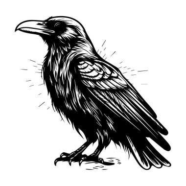 This captivating illustration features a majestic raven perched elegantly, showcasing intricate feather details and artistic elements, perfect for creative projects.