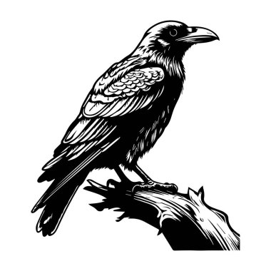 A detailed black silhouette of a crow perched confidently on a branch. The illustration captures the bird's intricate feather details and strong posture.