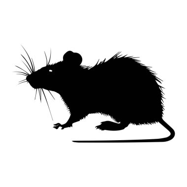This image features a striking black silhouette of a rat, showcasing its whiskers, tail, and furry body against a plain white background.