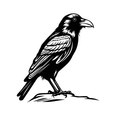 This striking black and white vector illustration features a crow in a detailed, minimalist style. Perfect for art lovers and designers.