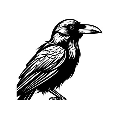 This black bird illustration captures the elegance of nature with intricate feather details and a sharp beak, perfect for artistic projects.