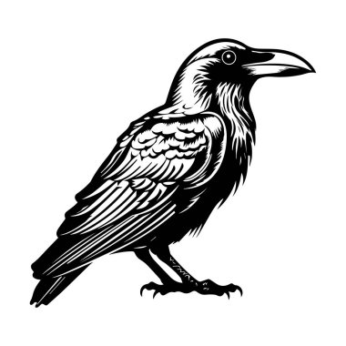 This elegant black and white illustration showcases a majestic raven, featuring detailed feather patterns and a striking pose, perfect for art lovers.