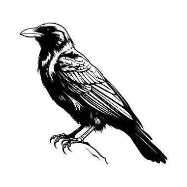 This striking black and white illustration features a raven perched elegantly, showcasing intricate feather details and a sharp beak. A perfect representation of nature's beauty.