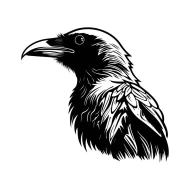 This striking black and white illustration captures the intricate details of a bird's head, showcasing exquisite feathers and features. Ideal for art projects.