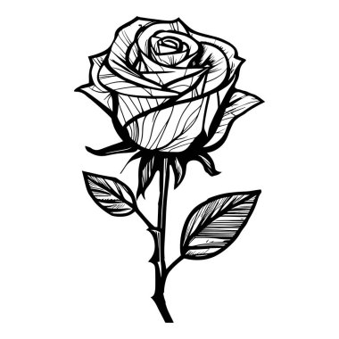 This elegant black and white sketch of a rose beautifully captures the intricate details of petals and leaves, ideal for artistic and romantic projects.