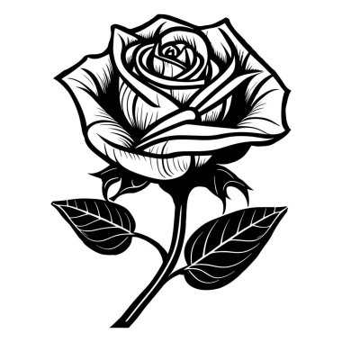 This stunning black and white illustration features a detailed rose, highlighting its elegant petals and leaves, perfect for artistic projects.