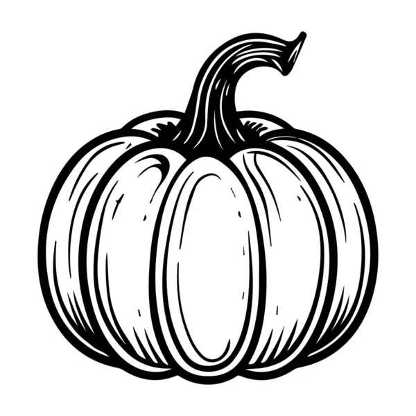 A detailed black and white hand-drawn illustration of a pumpkin, perfect for autumn-themed projects, decorative purposes, or seasonal art.
