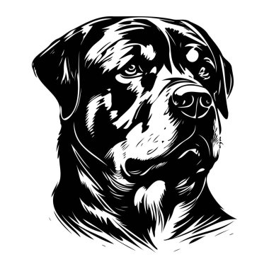 This striking black and white illustration features a detailed head of a Rottweiler, focusing on its expressive eyes and textured fur, perfect for various creative projects.