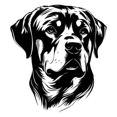 This striking black and white illustration showcases the prominent features of a Rottweiler, highlighting its loyalty and strength in a stylish, artistic presentation.