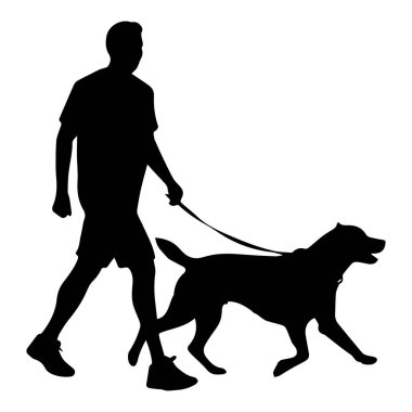This silhouette image captures a person walking a dog, showcasing the bond and companionship shared during outdoor activities in a park.