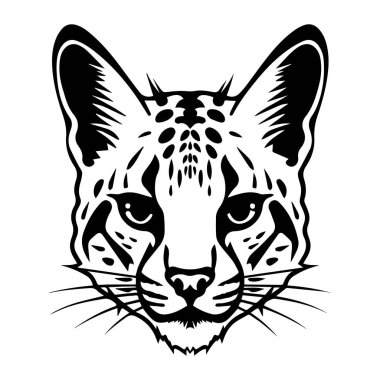 Stunning black and white illustration of a lynx face, showcasing sharp features and powerful expression, perfect for art and design projects.