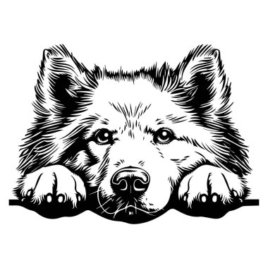 This striking illustration features a cute dog resting with a thoughtful expression, perfect for projects involving pets, companionship, and emotion.