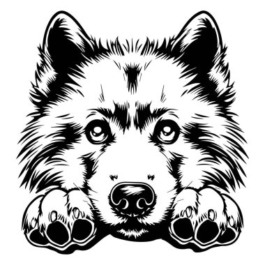 Explore this expressive monochrome illustration of a wolf, showcasing intricate details and a captivating gaze. Perfect for designs and artworks.