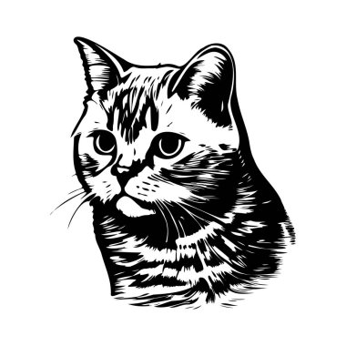 This striking black and white illustration captures the essence of a cat's face with intricate line details and expressive features. Perfect for art lovers.