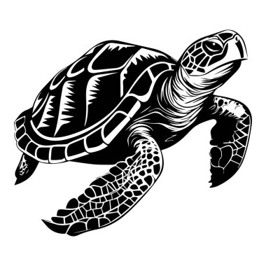 Capture the essence of marine life with this striking black and white illustration of a sea turtle, perfect for conservation themes or art projects.