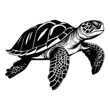 This striking black and white illustration features a sea turtle swimming gracefully, showcasing detailed shell patterns and a unique design.