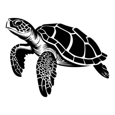 Stunning black and white illustration of a sea turtle gracefully swimming through the ocean, capturing the essence of marine wildlife artistry.