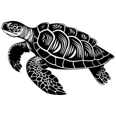 This detailed black and white illustration of a swimming sea turtle captures the beauty of marine life with intricate shell patterns and graceful motion.