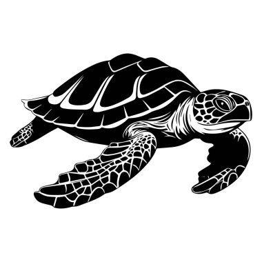A stunning black and white illustration of a turtle swimming gracefully through the water, showcasing intricate details and elegance. Perfect for nature-themed projects.