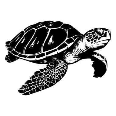 Stunning black and white illustration captures a turtle swimming in ocean waters, highlighting its intricate shell and graceful movement.