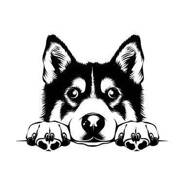 This charming black and white illustration of a husky dog captures a playful expression, highlighting the dog's friendly nature and curiosity.